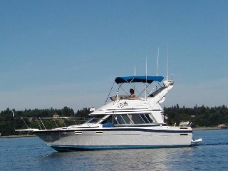 Bayliner